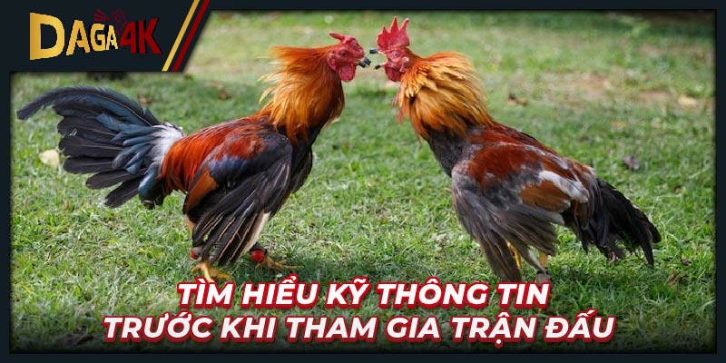Tìm hiểu kỹ thông tin trước khi tham gia trận đấu