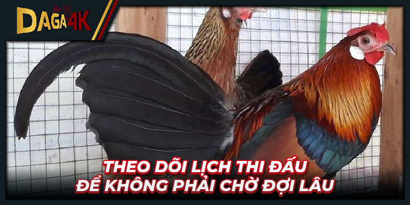 Theo dõi lịch thi đấu để không phải chờ đợi lâu
