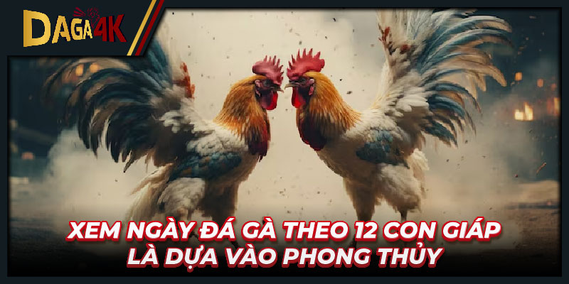 Xem ngày đá gà theo 12 con giáp là dựa vào phong thủy